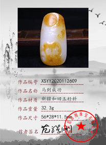 xsyy2020112609