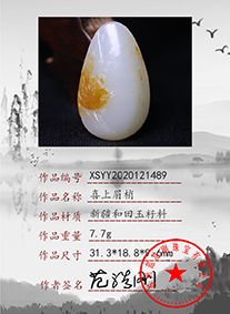 xsyy2020121489