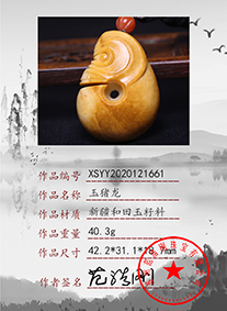 xsyy2020121661
