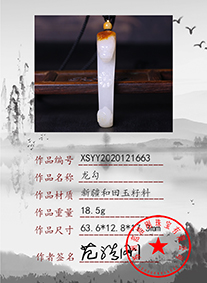 xsyy2020121663