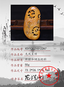 xsyy2021012267