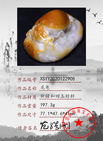 xsyy2020122908