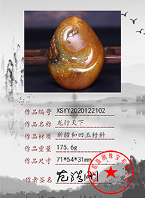 xsyy2020122102