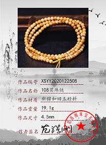 xsyy2020122508