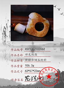 xsyy202102062