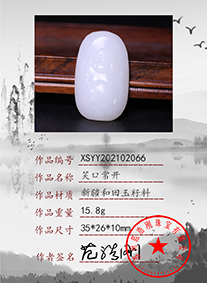 xsyy202102066