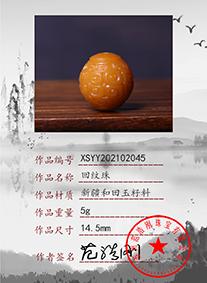 xsyy202102045