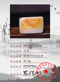 xsyy202102026