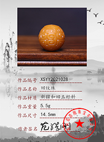xsyy2021028