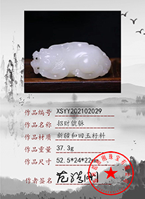 xsyy202102029