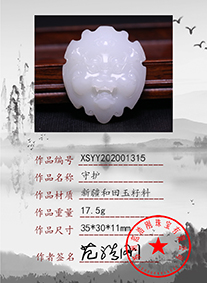 xsyy202001315