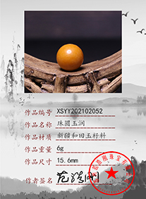 xsyy202102052