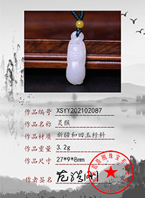 xsyy202102087