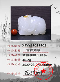 XSYY21021102