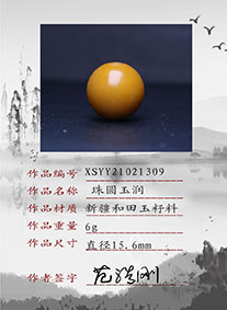 XSYY21021309
