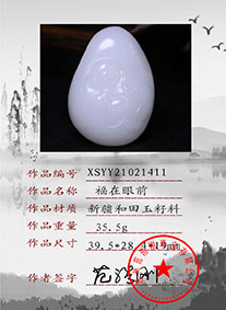 XSYY21021411