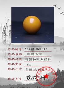 XSYY21021415