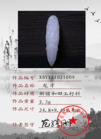 XSYY21021609