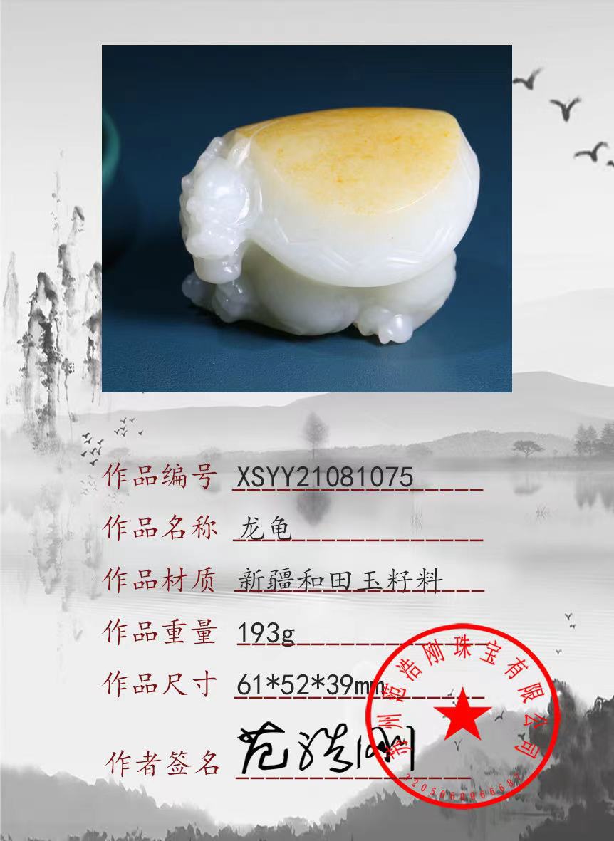 xsyy21081075