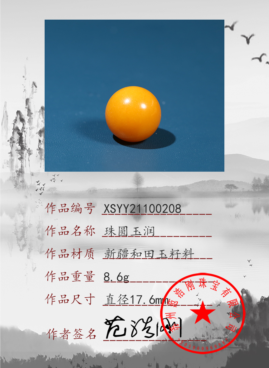 xsyy21100208