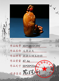 XSYY21101290