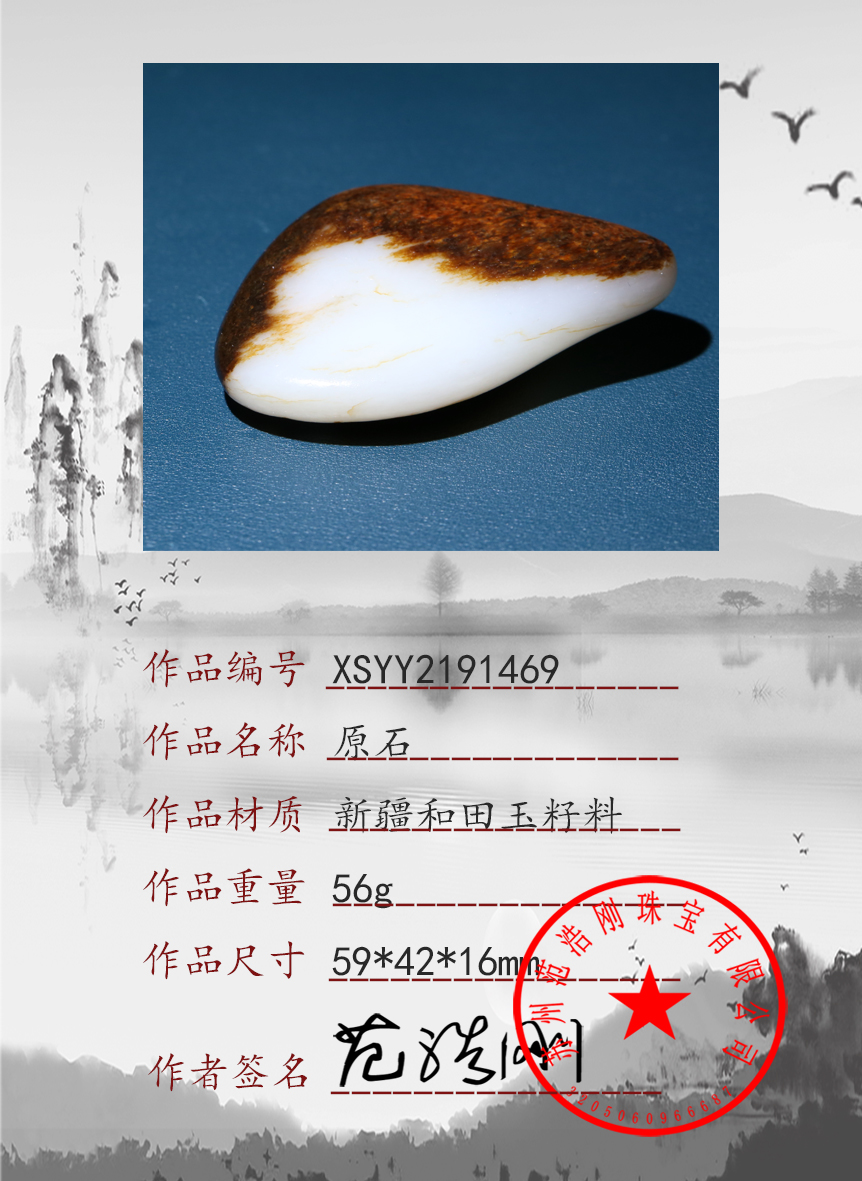 XSYY2191469