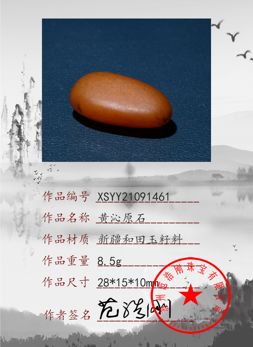 XSYY21091461