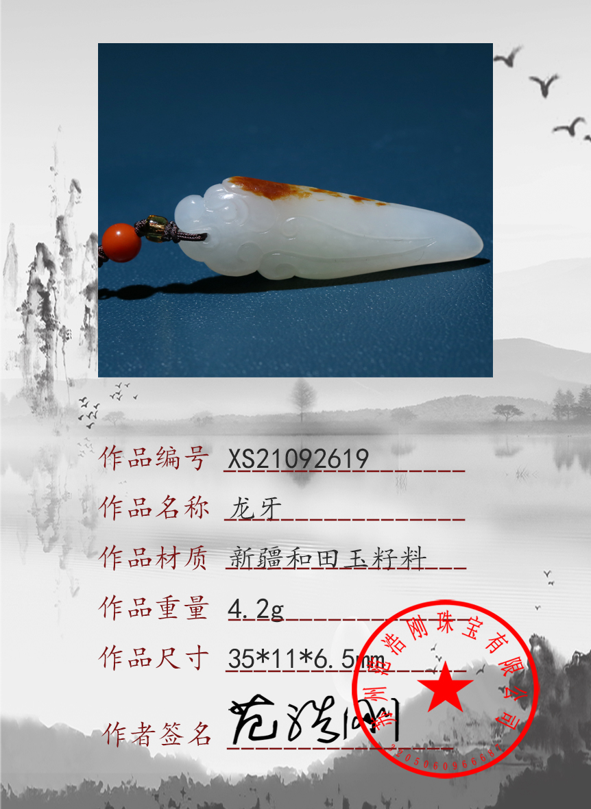 XS21092619