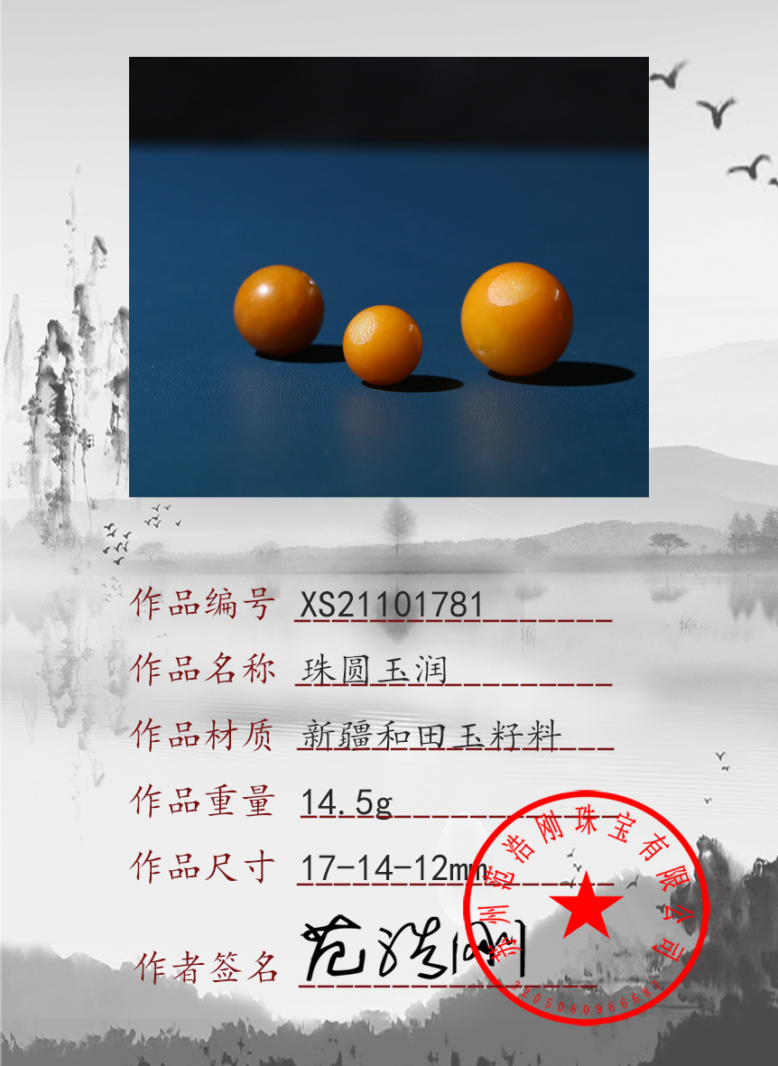 XS21101781