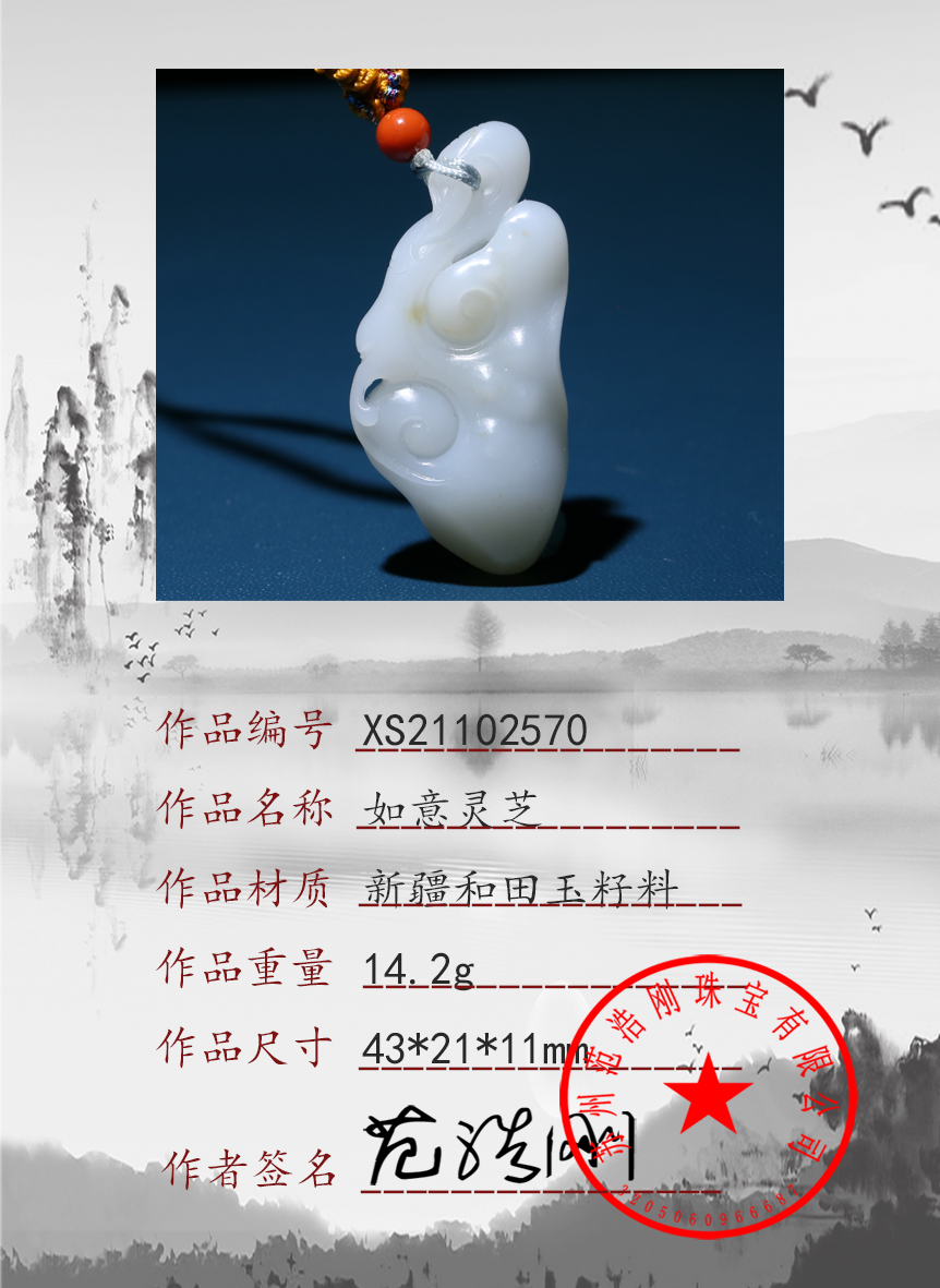 XS21102570