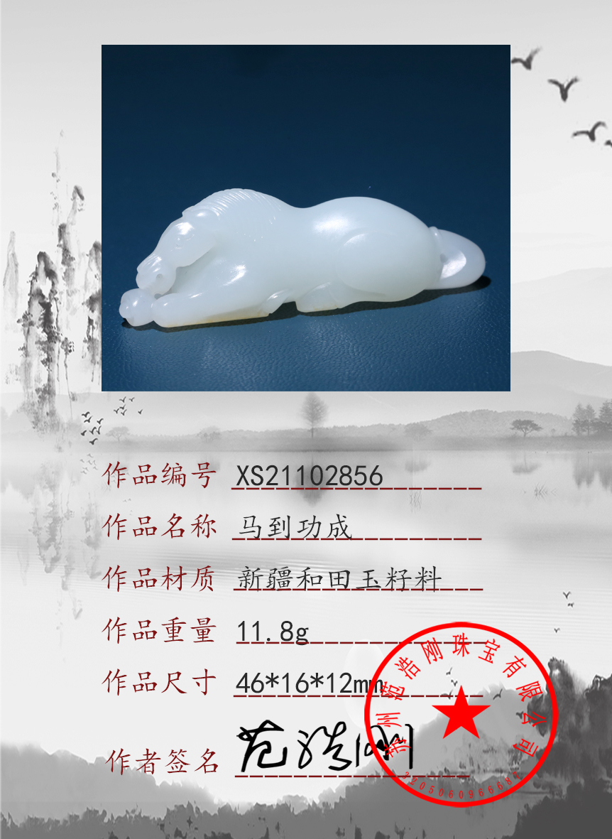 XS21102856