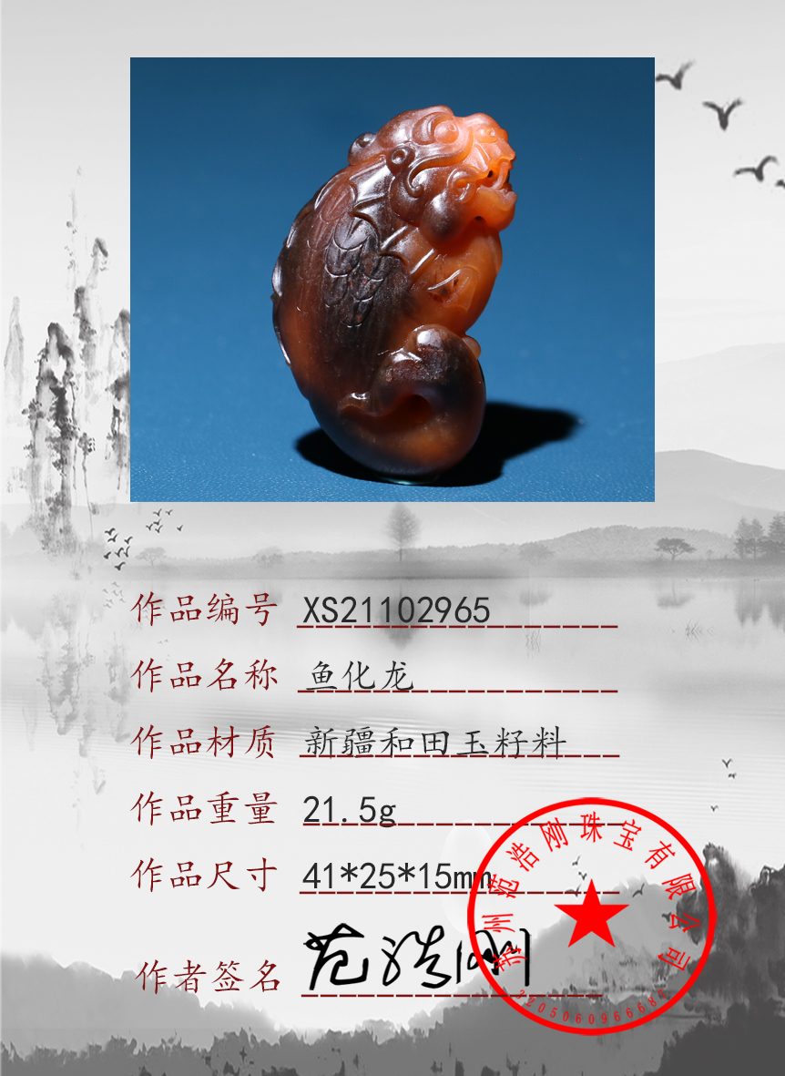 XS21102965