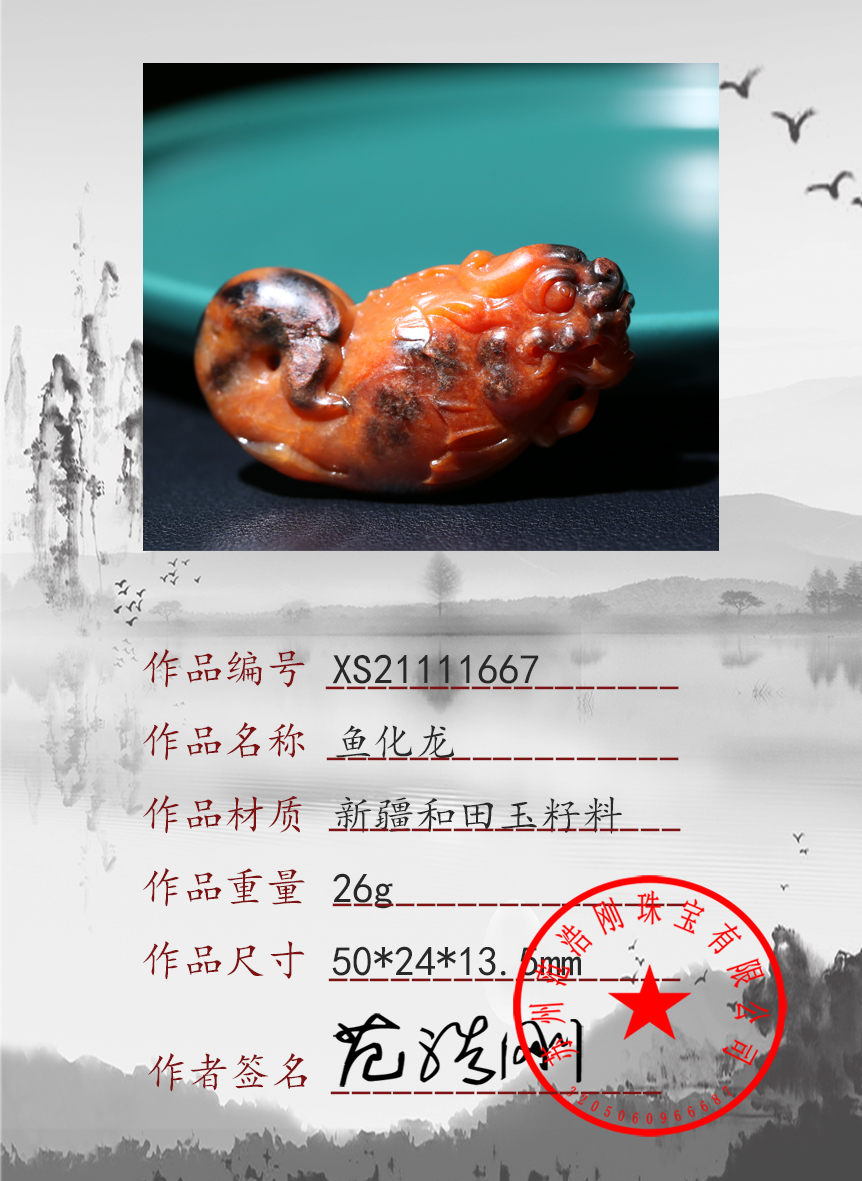 XS21111667
