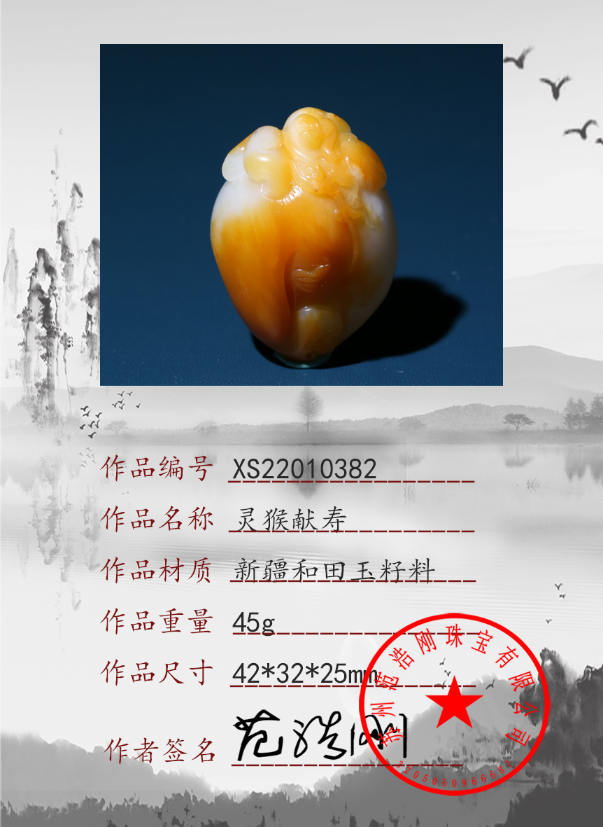 XS22010382