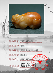 XS22032801
