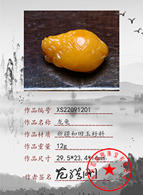 xs22091201