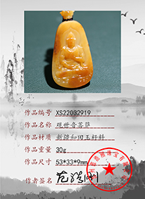 xs22032919
