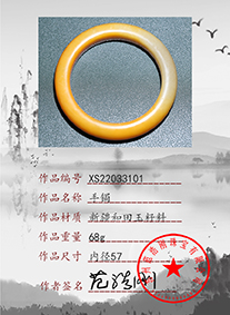 xs22033101