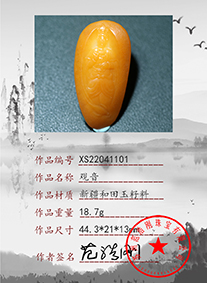 xs22041101