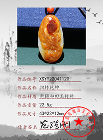 xs22041120