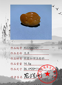 xs22042201