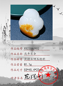 xs22050902