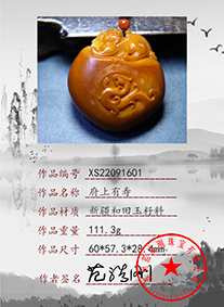xs22091601