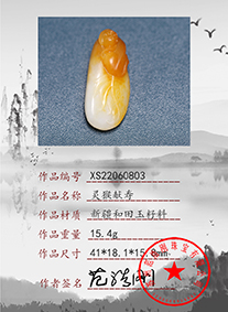 XS22060803