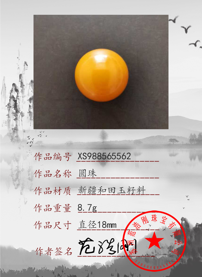 XS988565562